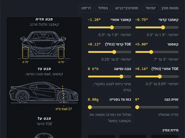מסך הסימולטור: שלושה מבטים מסונכרנים על הגלגל וסליידרים לזוויות